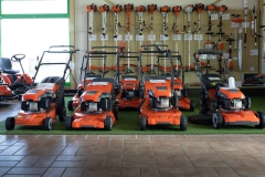 Ladi-20.02.202244480