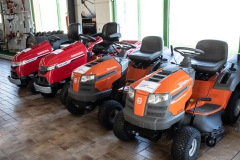 Ladi-20.02.202244482