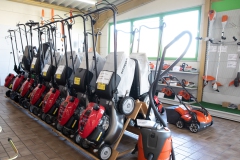 Ladi-20.02.202244508