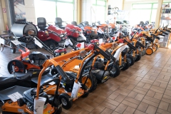 Ladi-20.02.202244546