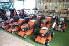 Ladi-20.02.202244550