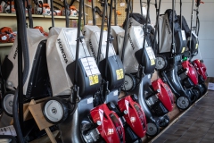 Ladi-20.02.202244584